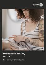 Professional washers