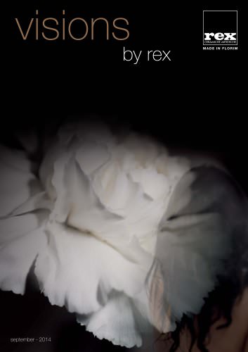 VISION BY REX