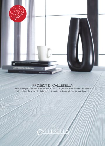 PROJECT DI CALLESELLA