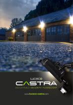 Castra Adjustable security floodlight