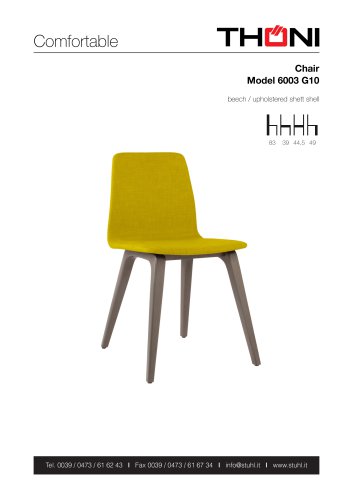 Chair Model 6003 G10