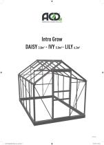 Intro Grow DAISY IVY LILY