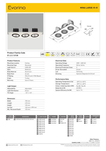 MINA LARGE-R-III - DATASHEET