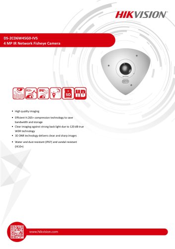 DS-2CD6W45G0-IVS