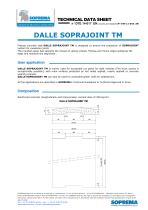 DALLE SOPRAJOINT TM