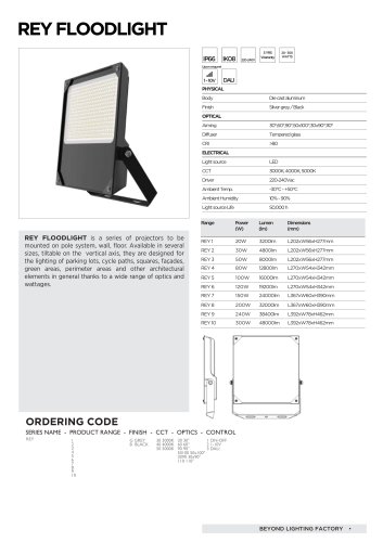 Rey Floodlight