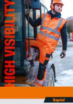 HIGH VISIBILITY