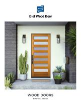 Interior door DFD-NV-01