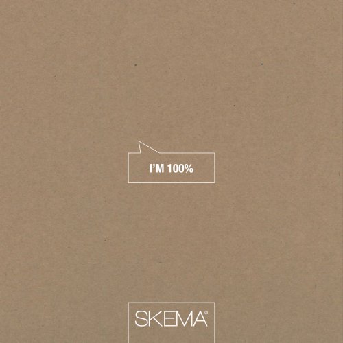 COMPANY PROFILE SKEMA I'M 100% NOV 2017