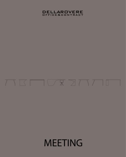 Meeting