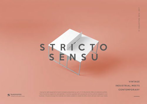STRICTO SENSU