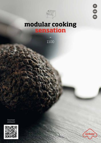 modular cooking sensation - 1100