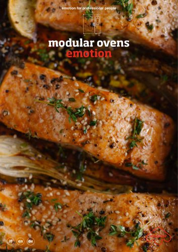 modular ovens emotion