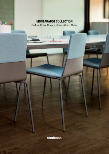 Montara650 Brochure