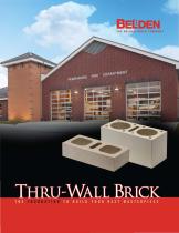 Thru-Wall Brick