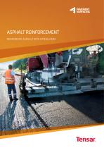 Asphalt Reinforcement