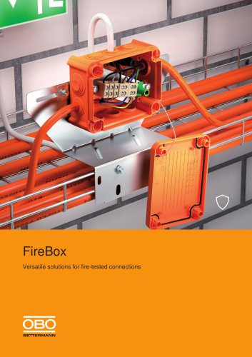 FireBox - Connections and Junctions in the Maintenance of Electrical Function