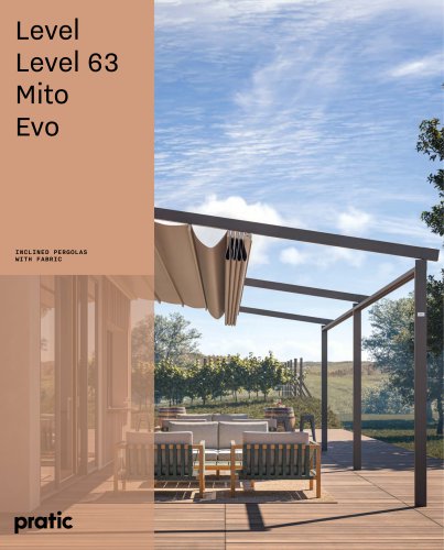 Level | Level 63 | Mito | Evo
