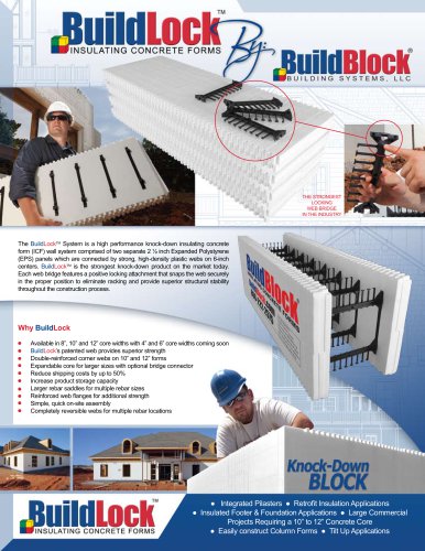 BBM-2005 "BuildLock" Flyer - Pkg. of 100