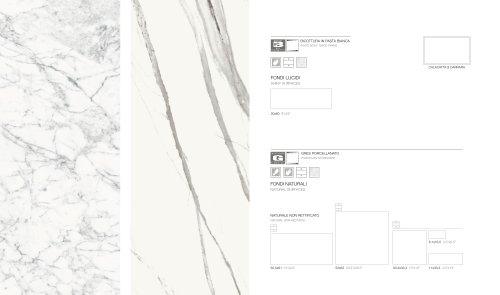 CALACATTA & CARRARA
