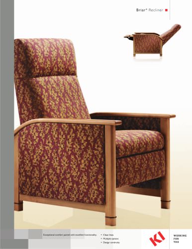 Briar Recliner Brochure